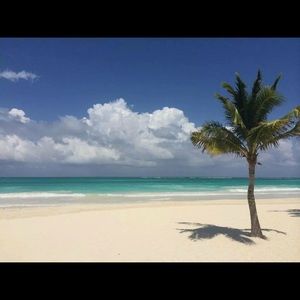 Meet your Posher, Richard